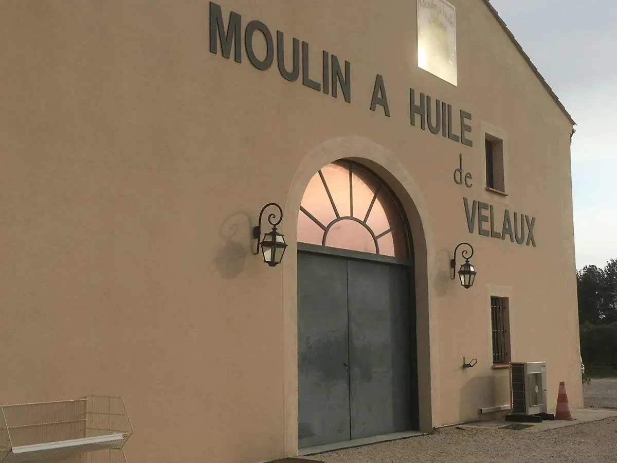 Gites Velaux Ecureuil Et Pinede France