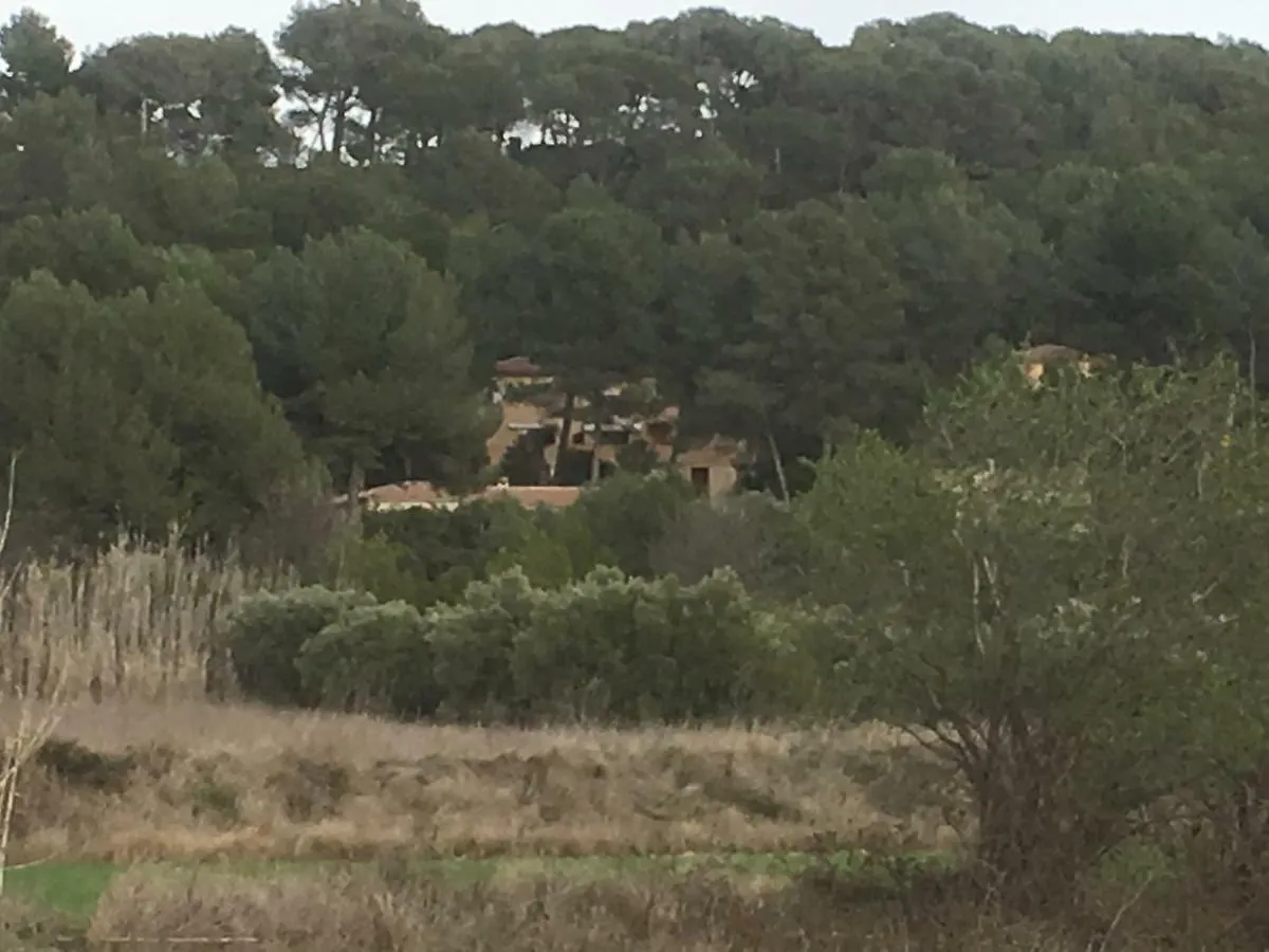Gites Velaux Ecureuil Et Pinede