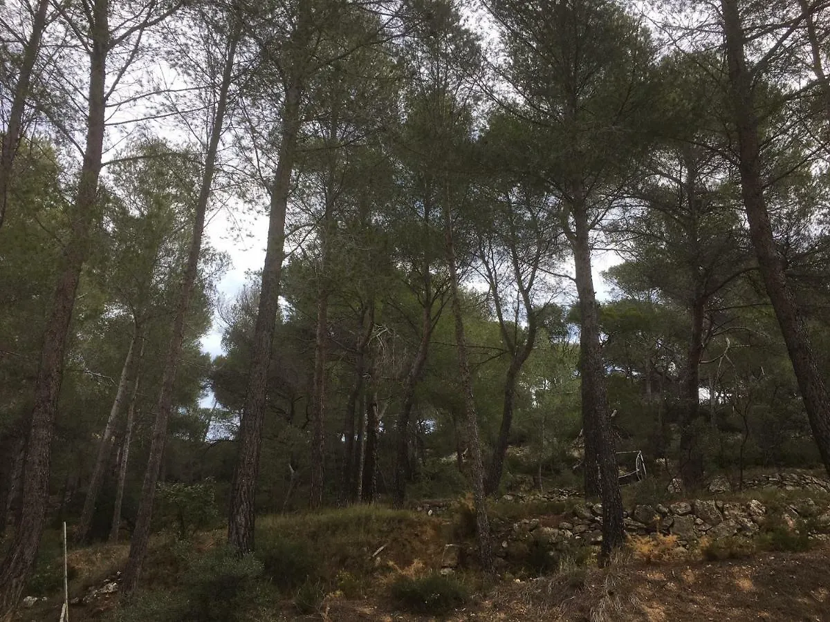Holiday home Gites Velaux Ecureuil Et Pinede